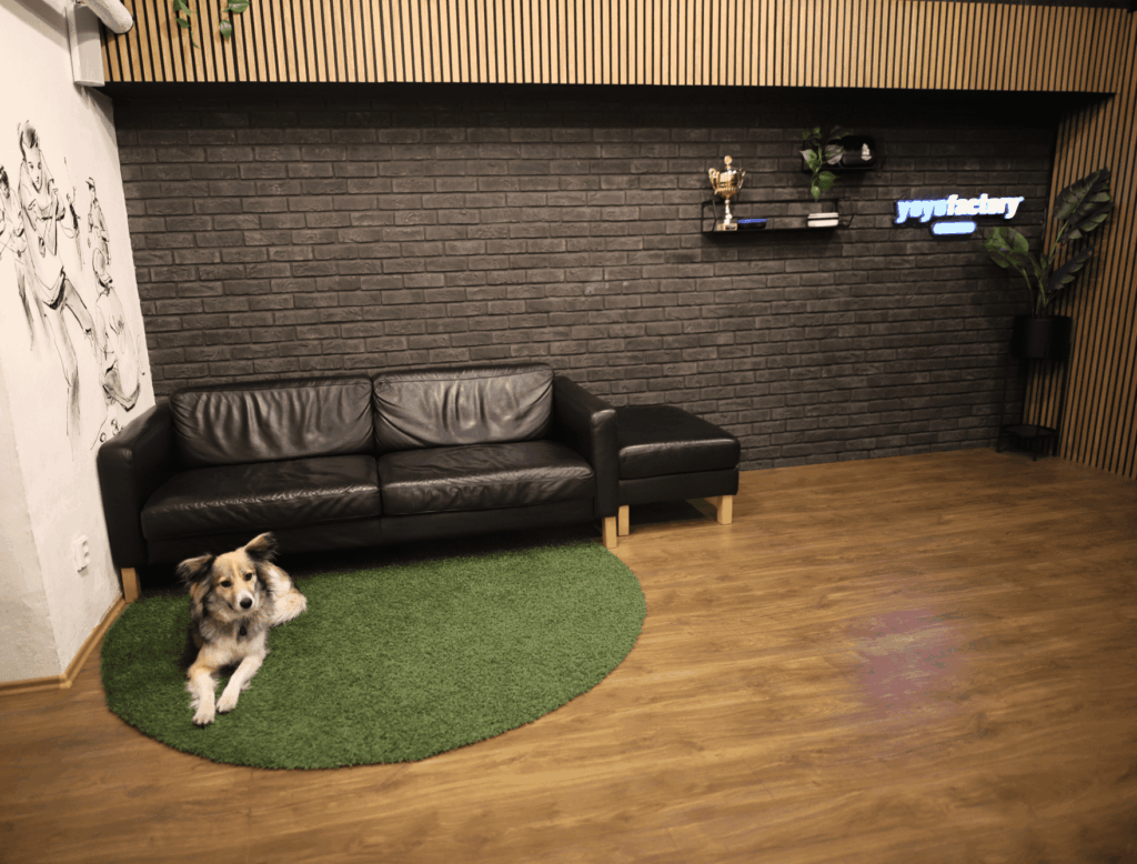 New studio in our yoyo shop
